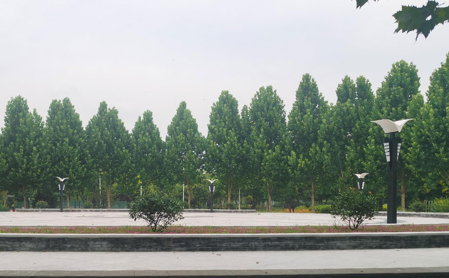 景觀燈，公園景觀燈.jpg
